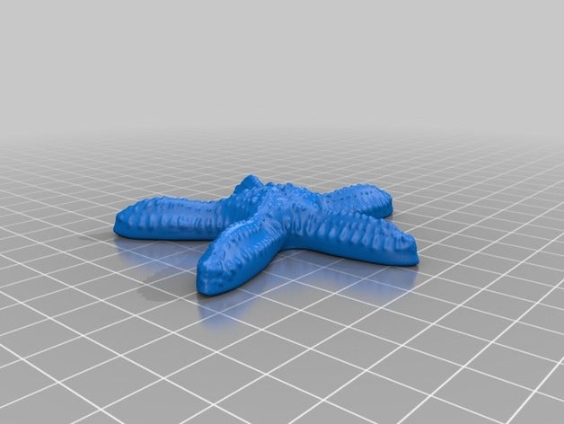 starfish models 3D print model - Mito3D
