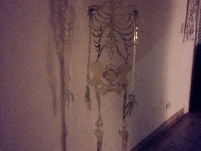170-cm skeleton 2d art 3d print model - Mito3D
