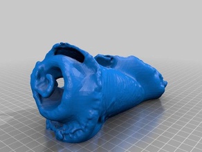 conch shell without multiscan art makerbotdigitizer 3d print model - Mito3D