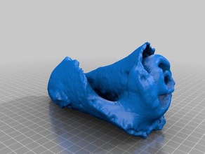 conch shell multiscan art makerbotdigitizer 3d print model - Mito3D