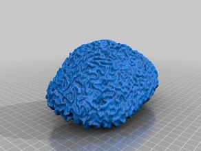 brain coral multiscan art cnidaria coelenterata makerbotdigitizer scleractinian 3d print model - Mito3D