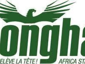logo songha&atilde&macr altri africa fablab songhai 3d print model - Mito3D