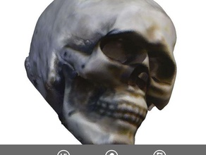 sense scanhalloween skull scans replicas 3ds scanagenic 3d print model - Mito3D