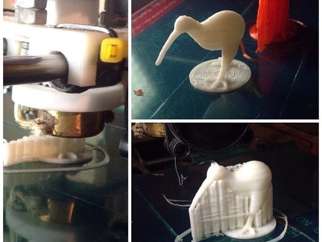 kiwi schnepfenstrau&szlig apteryx Haustiere 3D print model - Mito3D