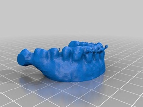 dentures 2 scans replicas makerbotdigitizer 3d print model - Mito3D