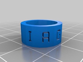 ma personnalisé anneau de la création bande iago 2 anneaux 3d print model - Mito3D