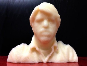 lou bas-relief andere Kopf kinect Mann reconstructme scan 3d print model - Mito3D
