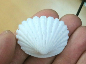 clam seashell animals shell 3d print model - Mito3D