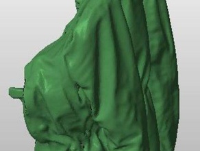 verificação de revestimento sentido do scanner varreduras réplicas 3d Digitalização em roupas splashtop 3d print model - Mito3D