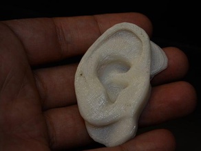 ear scans replicas 3d print model - Mito3D