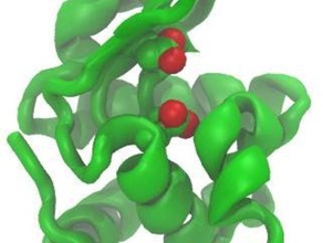 Lysozym Enzym Biologie Modell protein 3d print model - Mito3D