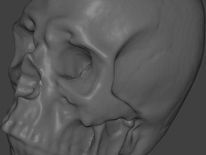 skull 3d laser scan printing 3d print model - Mito3D