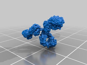 antibody immunoglobulin 3d printing 3d print model - Mito3D