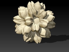o fractal de pólen florido 2 outros 3d Impressora a arte curiosidade experimento escultura 3d print model - Mito3D