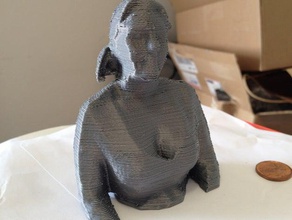 syber reconstruída outros do busto a cabeça o kinect reconstructme scan digitalizado 3d print model - Mito3D
