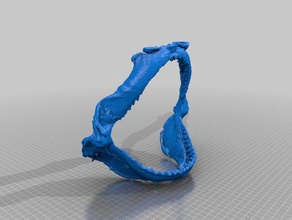 areia mandíbula de tubarão aprendizagem geologia geociências iowastate makerbotdigitizer paleobiology paleontologia scan 3d print model - Mito3D