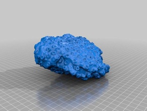raue Koralle lernen makerbotdigitizer scan 3d print model - Mito3D