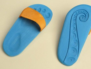 nathan iris-7s beach sandals accessories carladiana carla diana design fashion feet footprint leo maker prince octopus shoes 3d print model - Mito3D