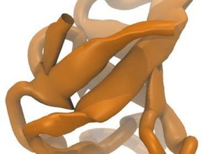 sh3 etki biyoloji model protein yapı 3d print model - Mito3D