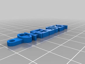 chelsea keychain organization customized 3d print model - Mito3D
