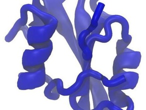 sh2 domain biyoloji model protein yapı 3d print model - Mito3D