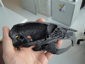 il cranio del mouse micro-ct biologia 3d animale replicator2 modello objet 24 stratasys dimension 1200 zcorp zprinter 450 3d print model - Mito3D
