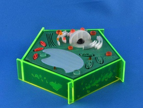 plant cell biology 3d print model - Mito3D