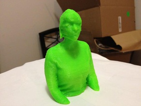 lauren reconstruída outros do busto a cabeça o kinect reconstructme scan digitalizado 3d print model - Mito3D