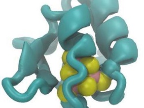 ferredoxin biyoloji model protein 3d print model - Mito3D