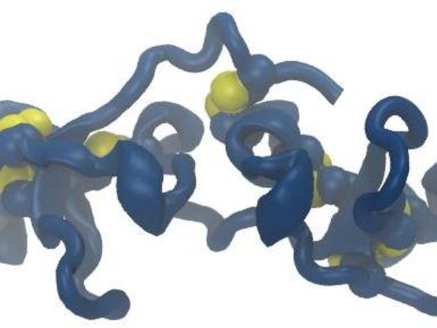 spasmolytic peptide biology disulfide model protein 3D print model - Mito3D