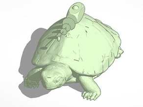 robô tartaruga animais 3d print model - Mito3D