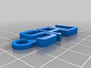 Schlüsselanhänger sau - Organisation angepasst 3d print model - Mito3D