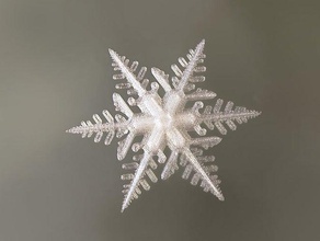 fiocco di neve i segni loghi 3d print model - Mito3D