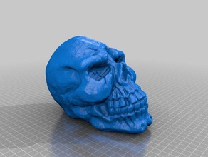 3dscan skull scan1 scans replicas makerbotdigitizer 3d print model - Mito3D