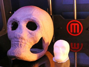 small skull scans replicas 3d print model - Mito3D
