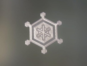 floco de neve sinais logotipos 3d print model - Mito3D