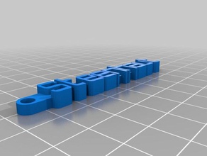 steenhaut 2 mesaj Anahtarlık organizasyon özelleştirilmiş 3d print model - Mito3D
