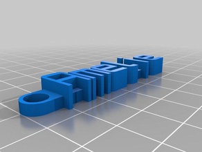 amelie keychain organization customized 3d print model - Mito3D