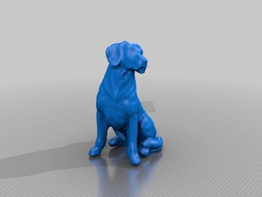 sense scan yellow lab animals dog sculpture 3d print model - Mito3D