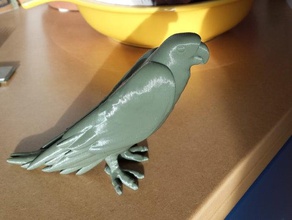 papagaio animais aves 3d print model - Mito3D