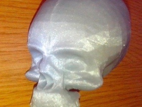 human skull people 3d print model - Mito3D