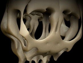alien skull sculture obj fissaggio a parete montaggio osso 3d print model - Mito3D