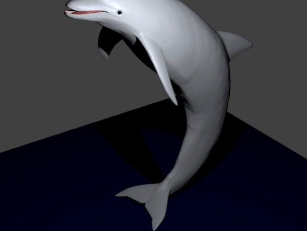 dolphin gebogen aufrecht Tiere blender springen manipuliert stl 3D print model - Mito3D