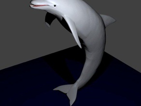 dolphin curved upright animals blender jumping rigged stl 3d print model - Mito3D