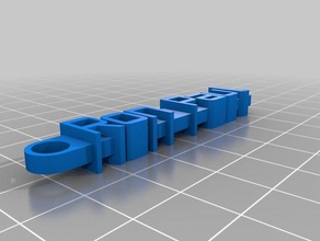 ron paul, le trousseau de clés l'organisation personnalisé 3d print model - Mito3D