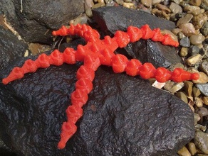 özelleştirilebilir denizyıldızı hayvanlar customizer deniz onsuchafullsea yaşamı 3d print model - Mito3D
