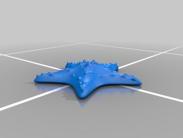 iç n denizyıldızı dekor 3D print model - Mito3D