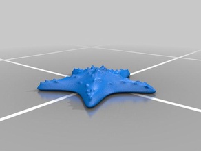interior obj starfish decor 3d print model - Mito3D