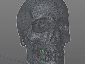 un altro cranio sculture 3d print model - Mito3D