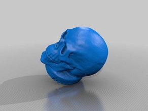 skull scans replicas 3d print model - Mito3D